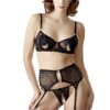 Reggiseno pizzo nero reggicalze perizoma aperto dettagli metallici eleganza seduzione sensuale elegante raffinata seducente
