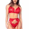 Completo sexy tre pezzi pizzo rosso perizoma reggicalze top peekaboo elegante sensuale raffinata seducente